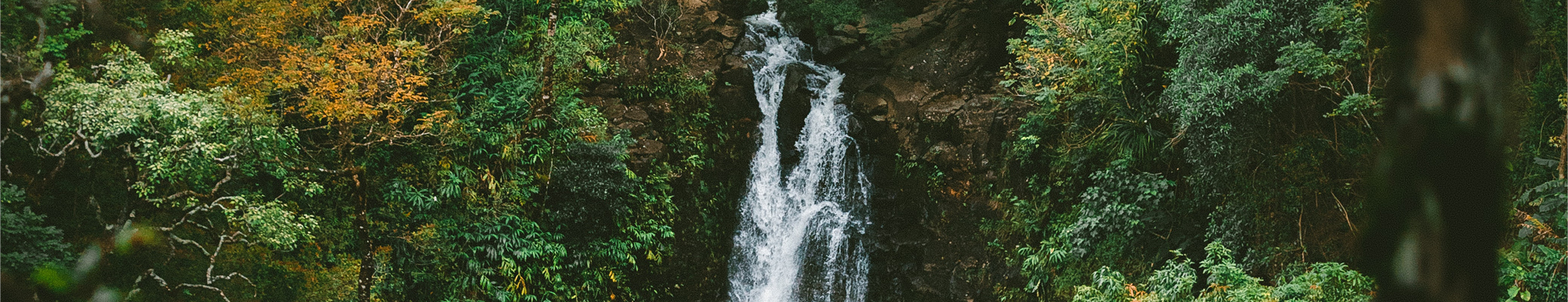 05 PRO013348_Photo_Header Banners7.jpg