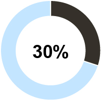 03_PRO013348_Annual_Cash_Incentive_pie_Business Unit_Chavy.jpg