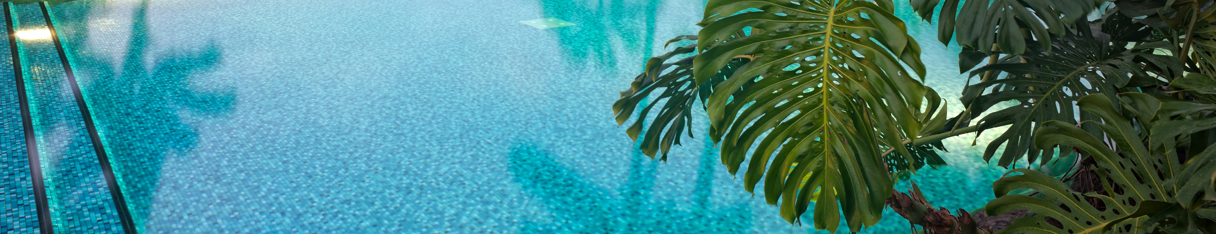 04_TNL_Director Compensation Banner.jpg