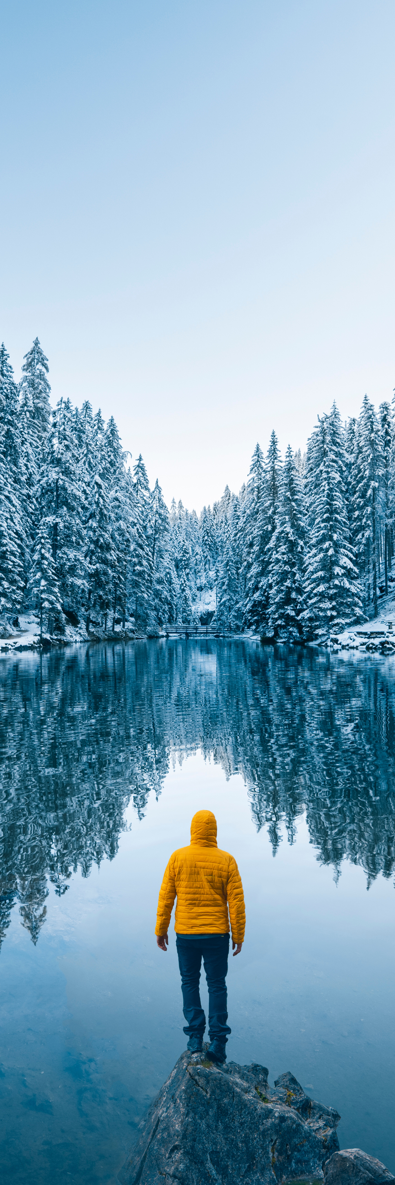 04_TNL_Proposal 3 Banner.jpg