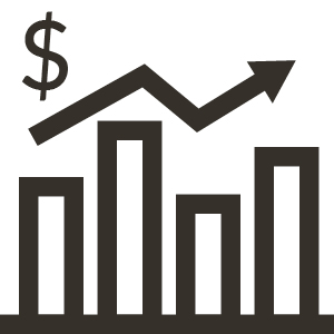 02_TNL_CompanyOverview_Adj diluted.jpg