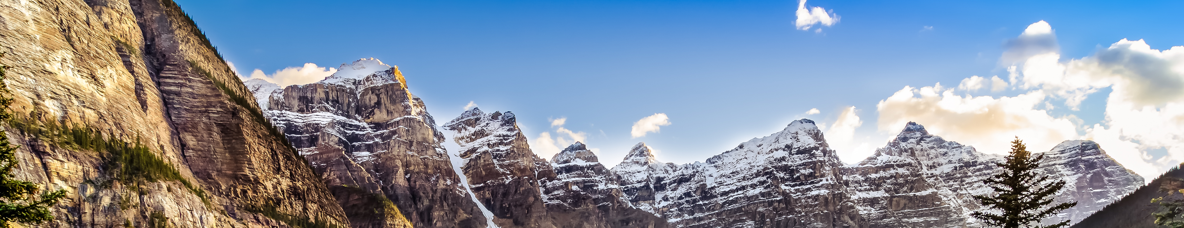 05_TNL_PXY_2026_PROXY STATEMENT SUMMARY.jpg