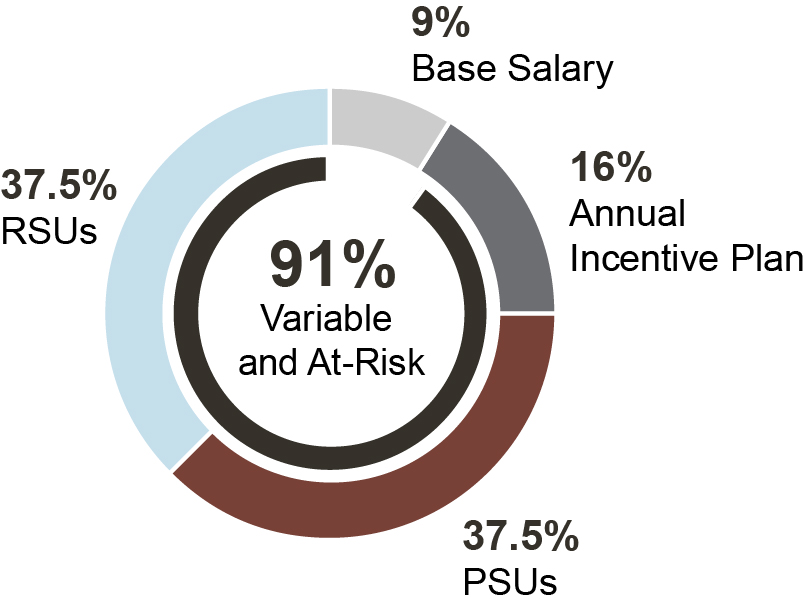 03 PRO013348_pie_ceo compensations mix_CEO1.jpg