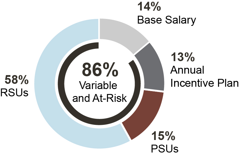 03 PRO013348_pie_ceo compensations mix_NEO1.jpg