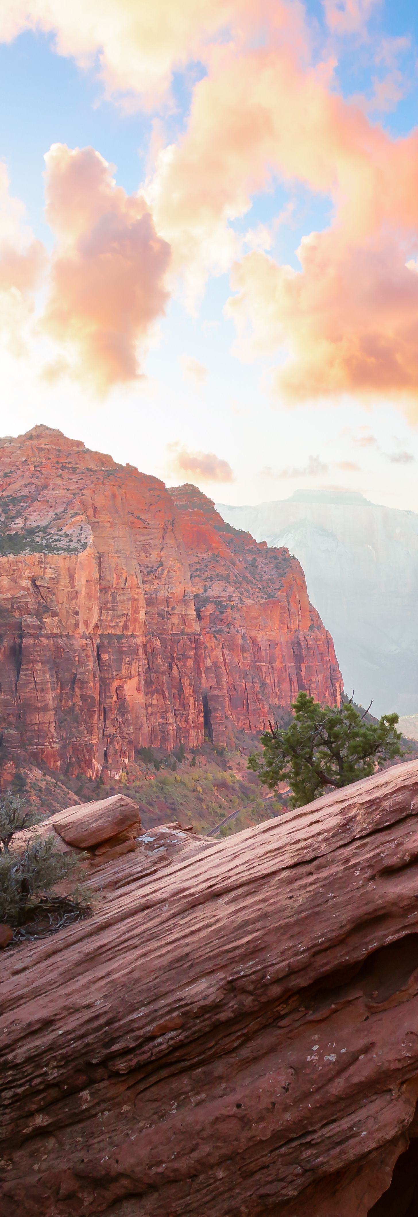 04_TNL_Proposal 1 Banner.jpg